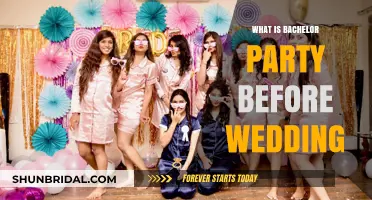 Unveiling the Bachelor Party: A Pre-Wedding Celebration Explained
