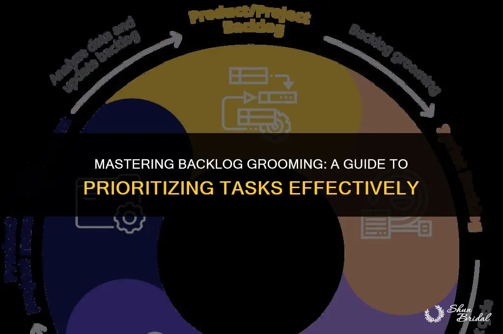 what is backlog grooming