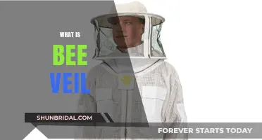 Understanding the Bee Veil: Essential Beekeeping Gear Explained