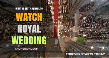 Where to Watch the Royal Wedding: Top Channels for Live Coverage