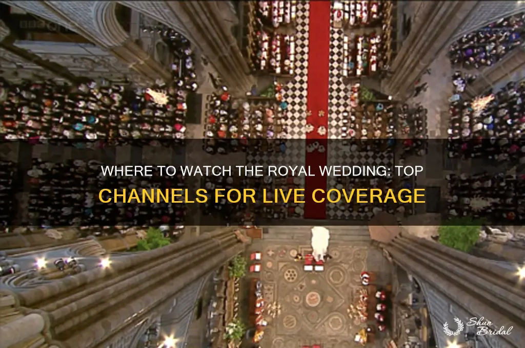 what is best channel to watch royal wedding