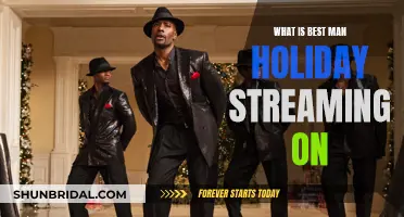 Best Man Holiday: Where to Stream the Movie