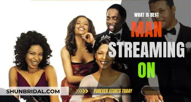 Best Man Streaming: Where to Watch?