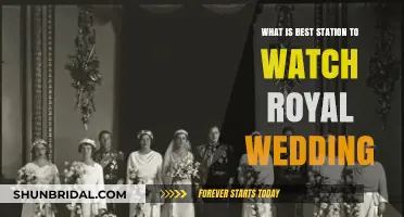 Where to Watch the Royal Wedding: Top Station Picks