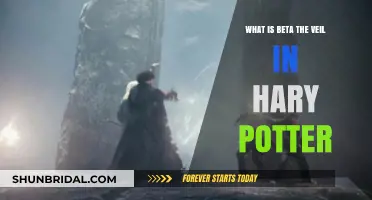 Unveiling the Mystery: Understanding Beta the Veil in Harry Potter