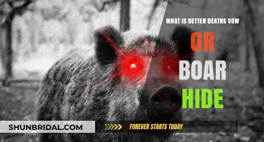Death's Vow vs. Boar Hide: Which Gear Reigns Supreme?