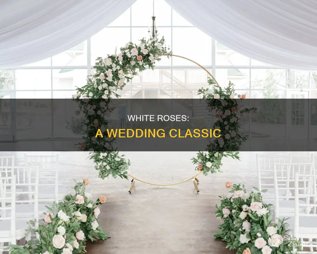 what is better use white roses on wedding
