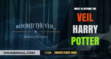Unveiling the Mysteries: Exploring Harry Potter's Beyond the Veil