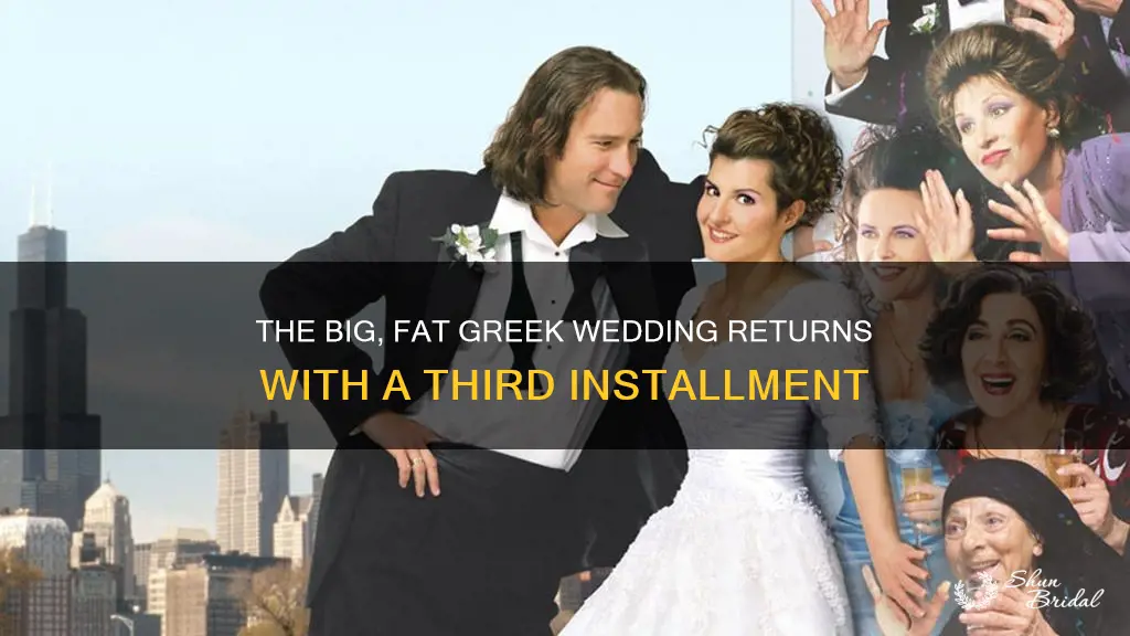 what is big fat greek wedding 3 about