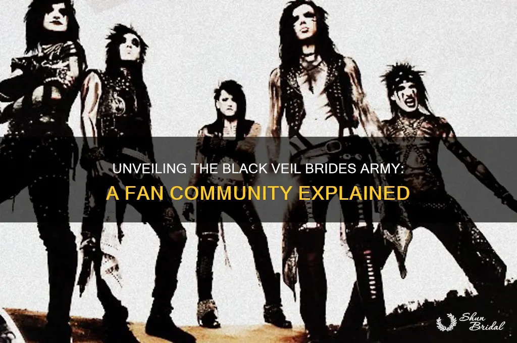 what is black veil brides army