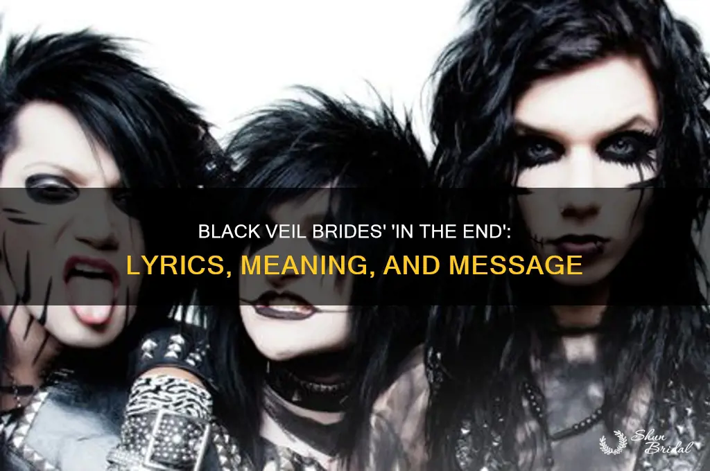 what is black veil brides in the end about