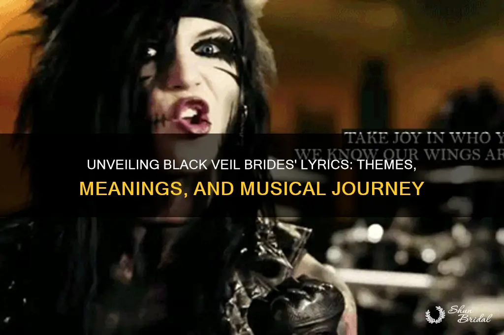 what is black veil brides music about
