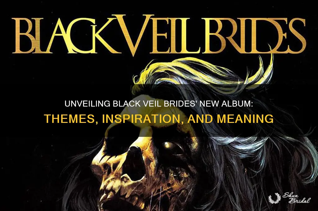 what is black veil brides new album about