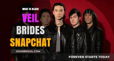 Unveiling Black Veil Brides' Snapchat: A Fan's Guide to Their Story