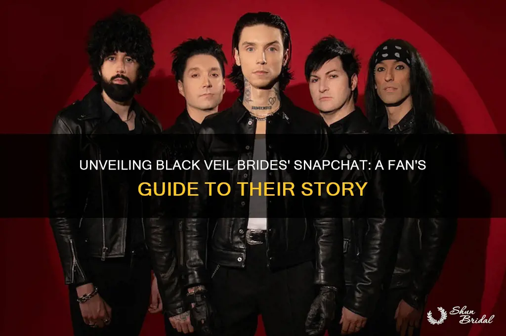 what is black veil brides snapchat