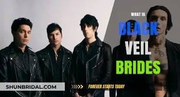 Unveiling Black Veil Brides: The Band, Music, and Legacy Explained