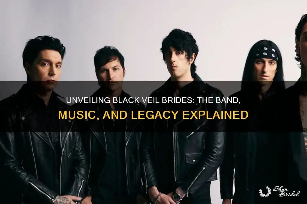 what is black veil brides