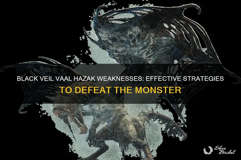what is black veil vaal hazak weak to