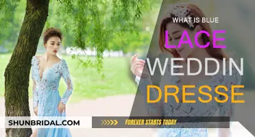 Blue Lace Wedding Dresses: A Guide to the Style