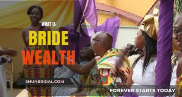 Understanding Bride Wealth: A Cultural and Economic Perspective