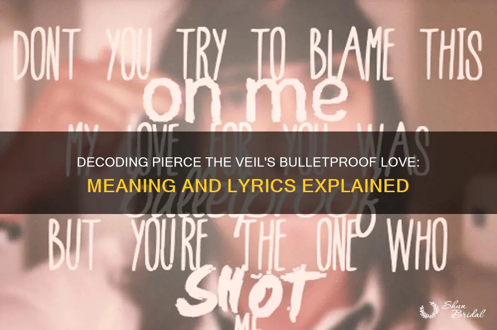 what is bulletproof love by pierce the veil about
