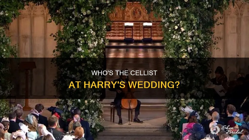 what is cellist