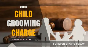 Understanding Child Grooming Charges: A Comprehensive Guide