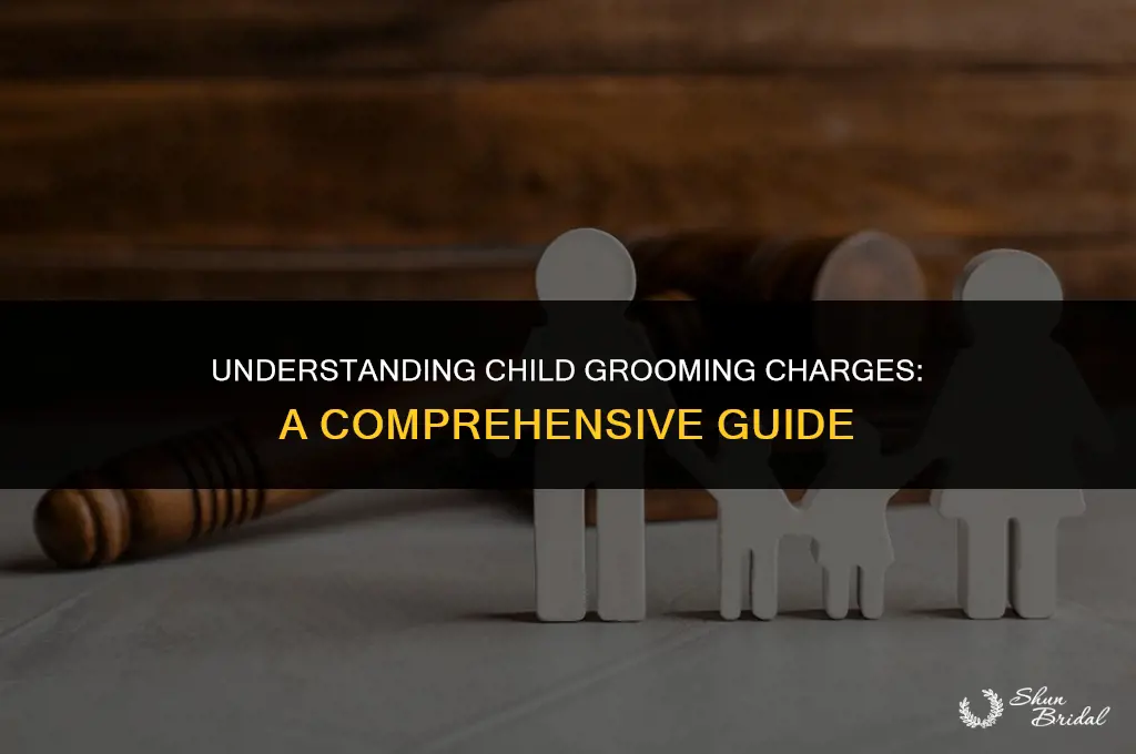 what is child grooming charge
