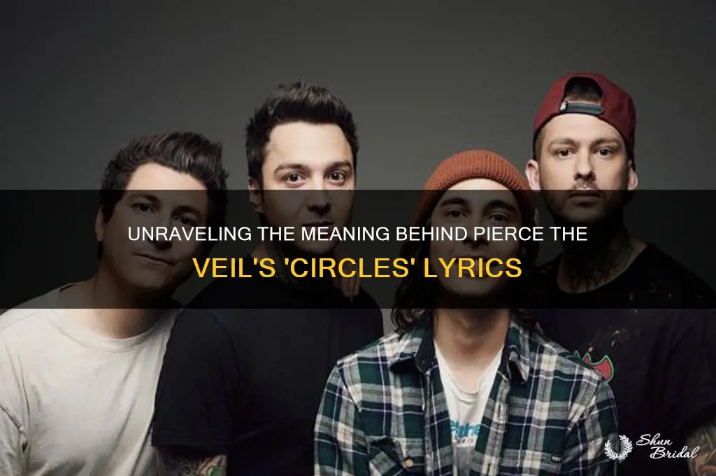 what is circles by pierce the veil about