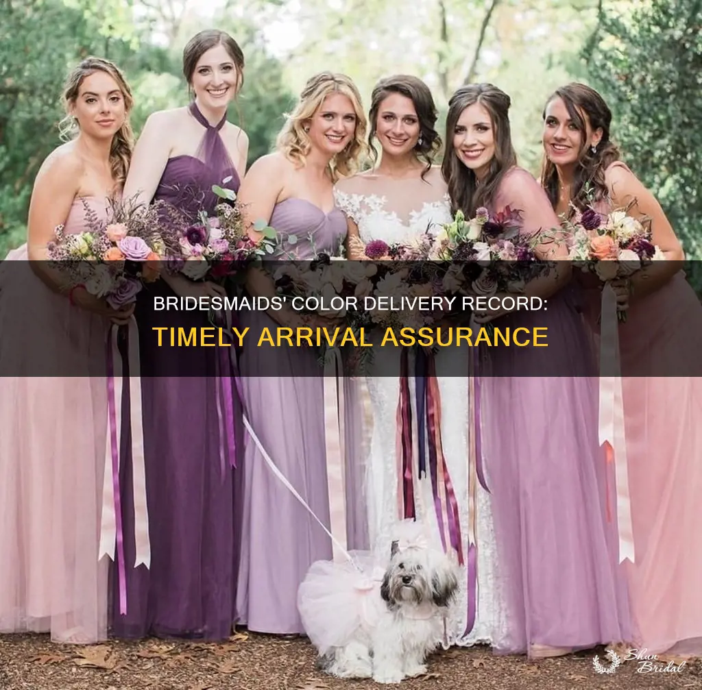 what is color bridesmaids record for delivery