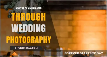 Capturing the Story of Love and Commitment