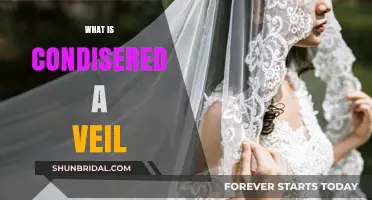 Understanding Veils: Cultural, Religious, and Symbolic Meanings Explained