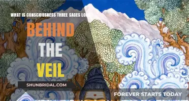 Consciousness Unveiled: Three Sages Explore the Mystery Within