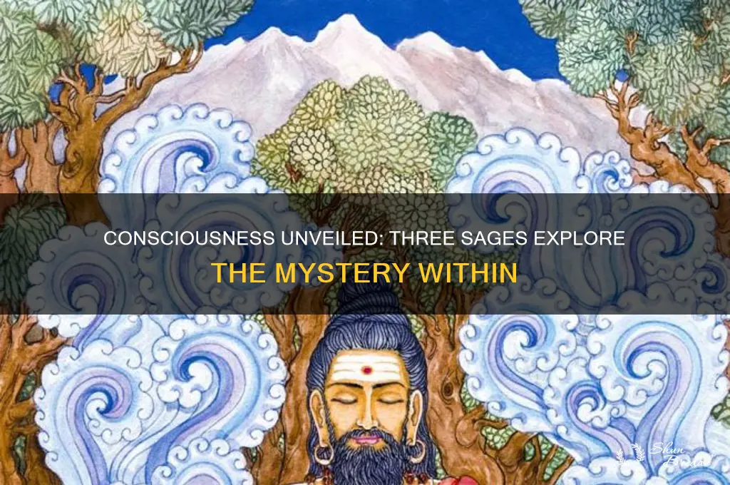 what is consciousness three sages look behind the veil