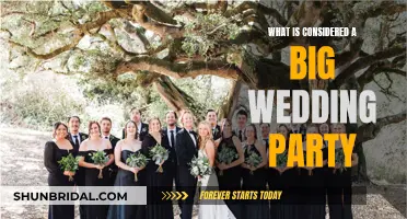 Big Wedding Energy: Defining the Large Wedding Party