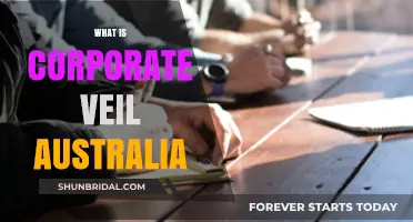 Understanding the Corporate Veil in Australia: Legal Protections and Limitations