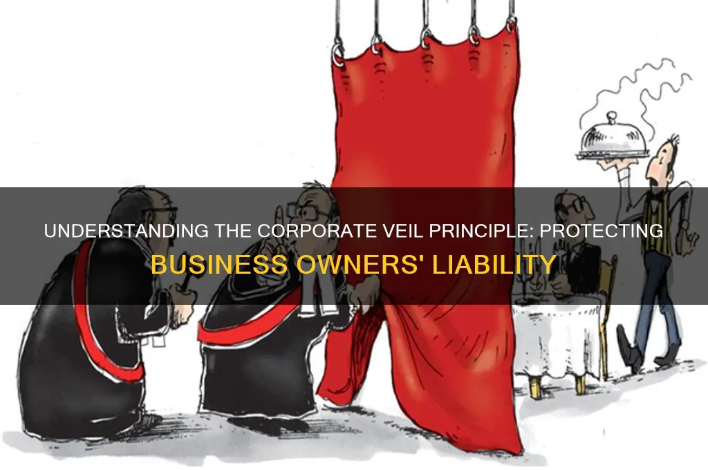 what is corporate veil principle