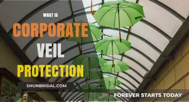Understanding Corporate Veil Protection: Safeguarding Your Business and Personal Assets