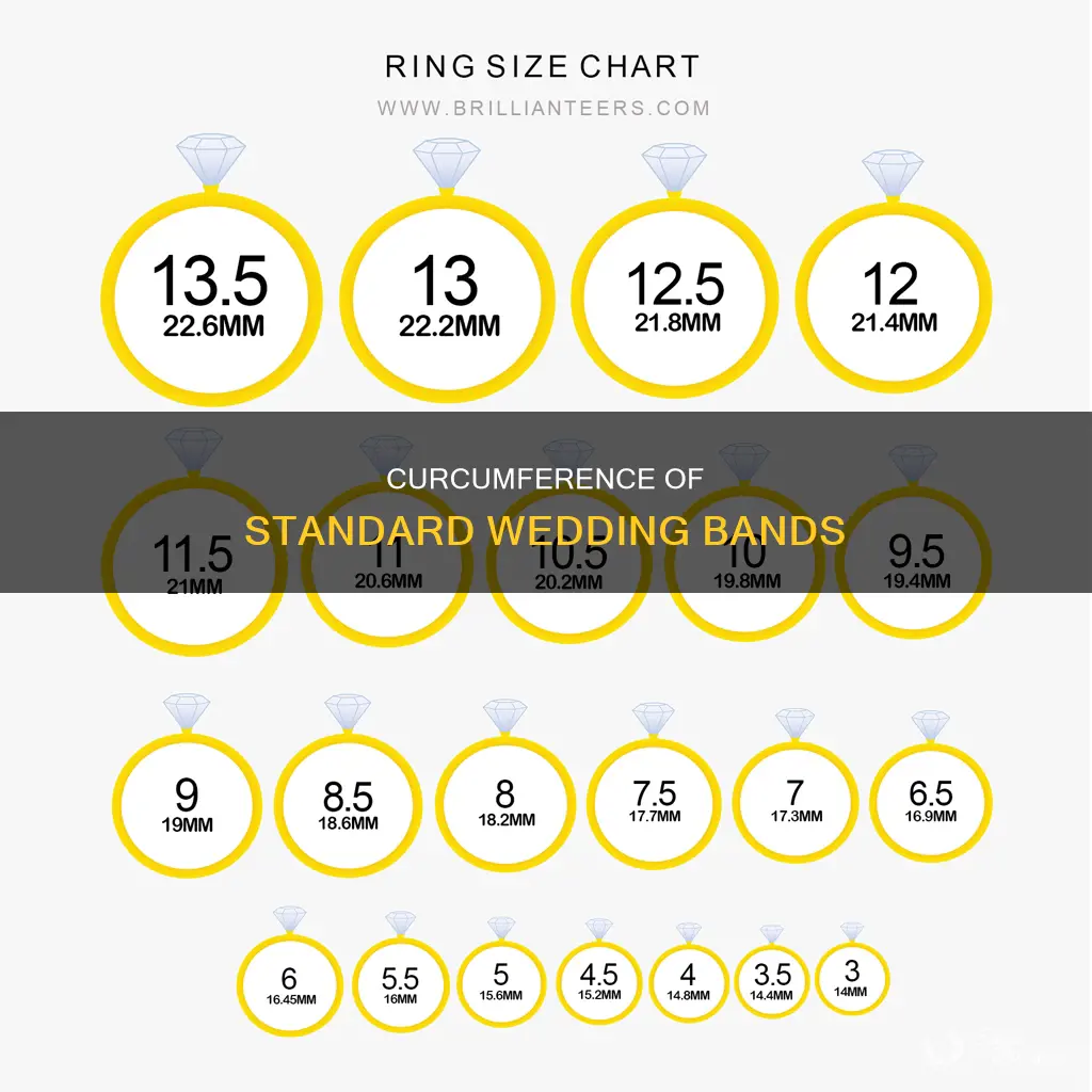 what is curcumference of a 6.5 mm wedding band