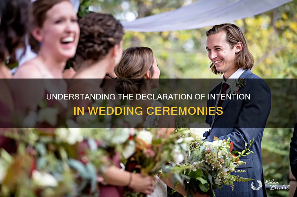 what is declaration of intention in wedding ceremony