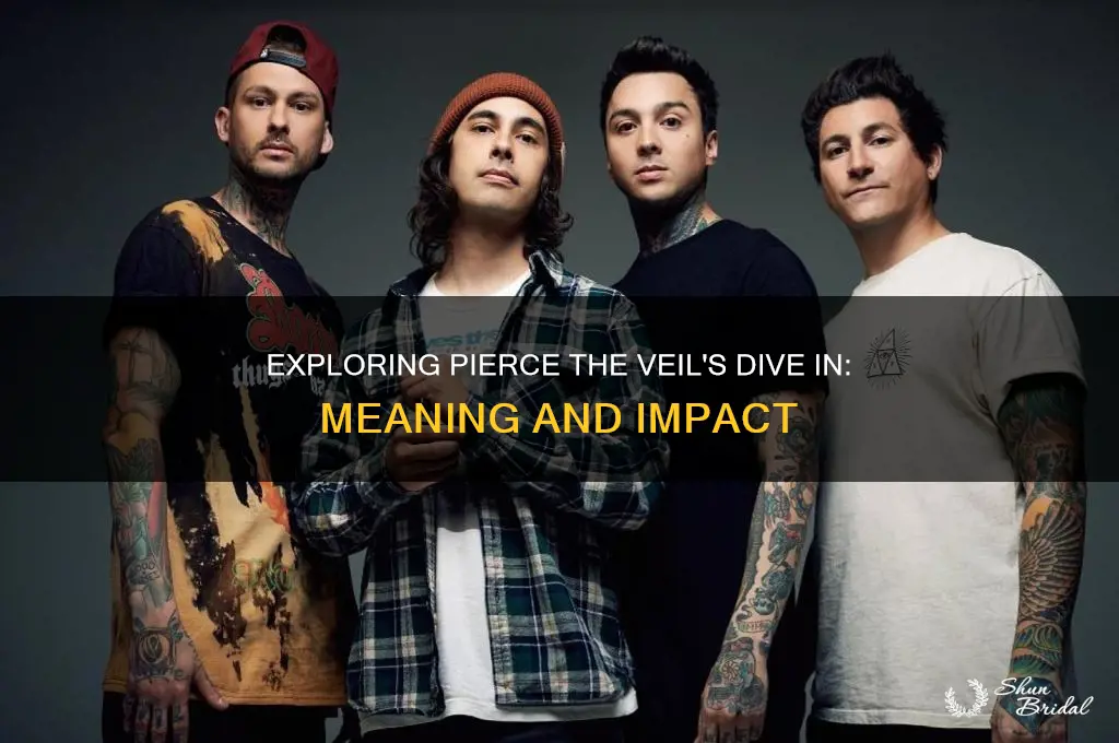 what is dive in by pierce the veil