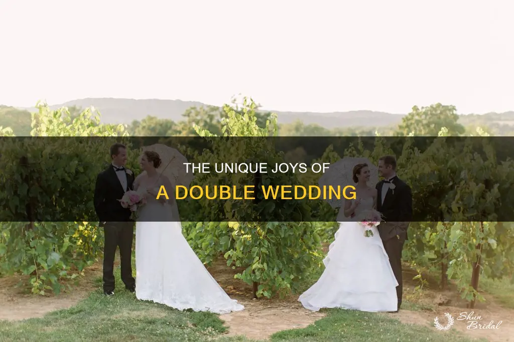 what is double wedding meaning