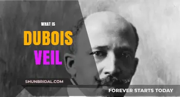 Understanding W.E.B. Du Bois' Veil: Race, Identity, and Double Consciousness