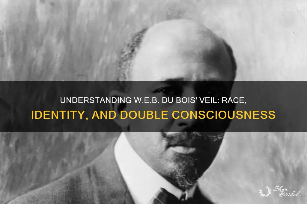 what is dubois veil