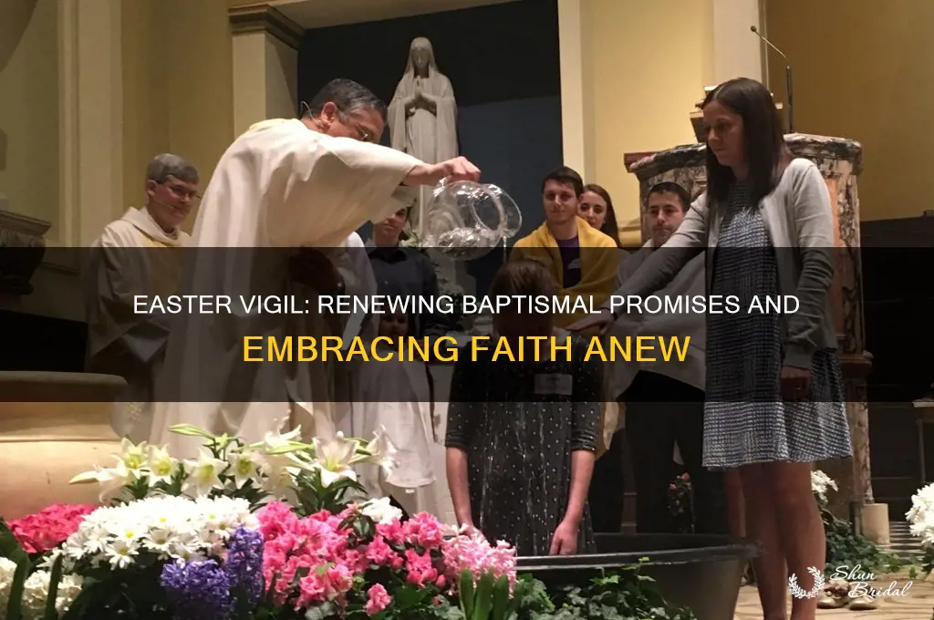 what is easter vigil renewal of baptismal vows
