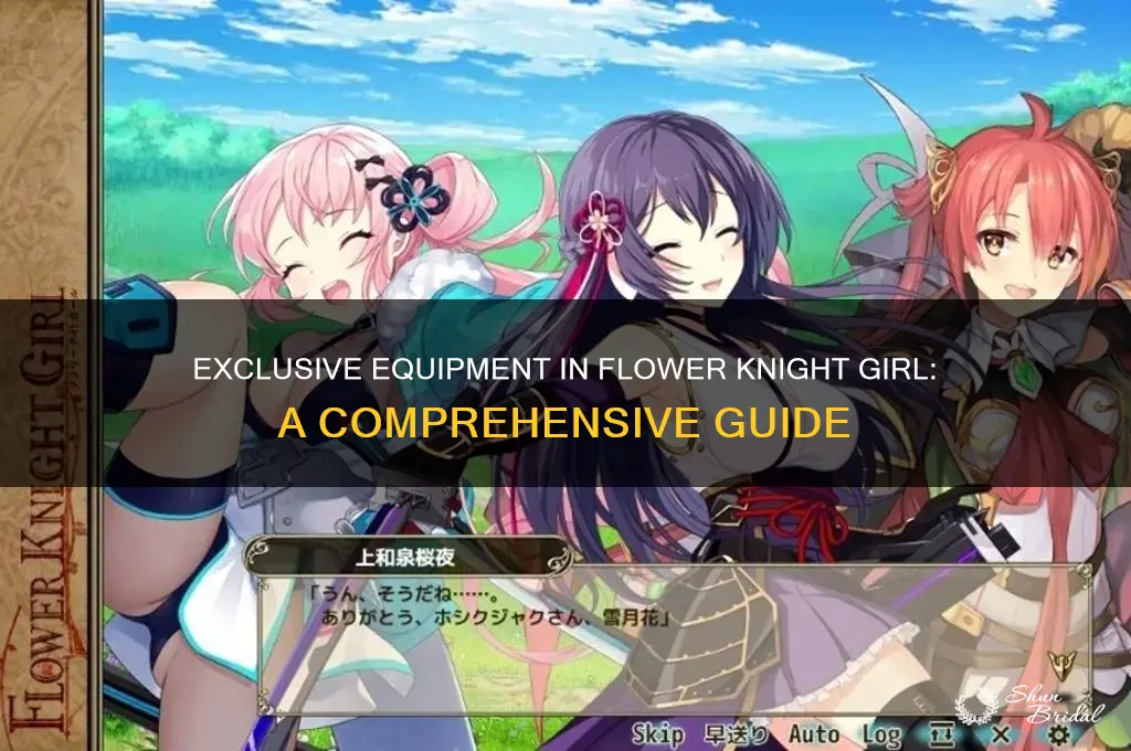 what is exclusive equipment flower knight girl