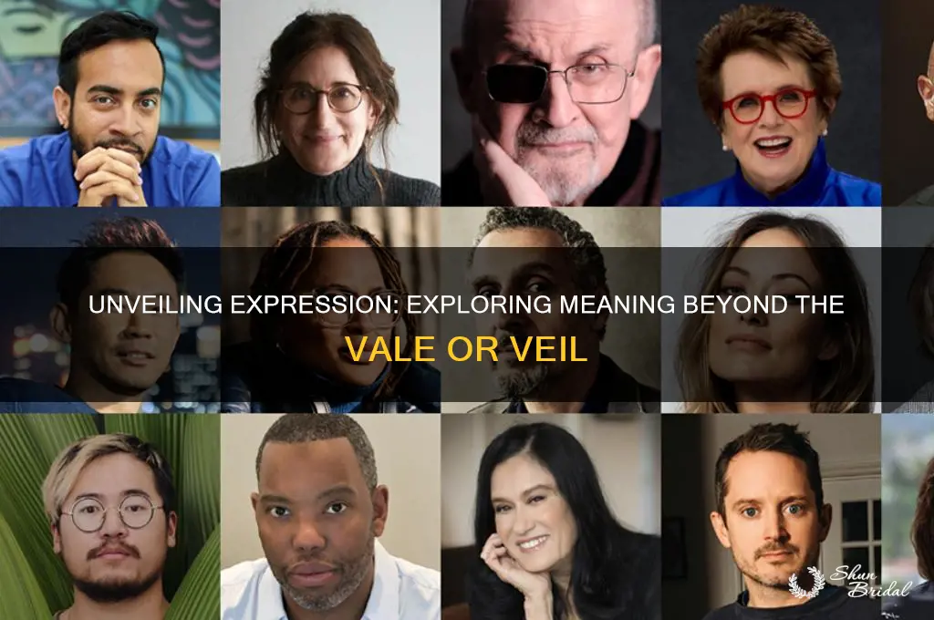 what is expression beyond the vale or veil