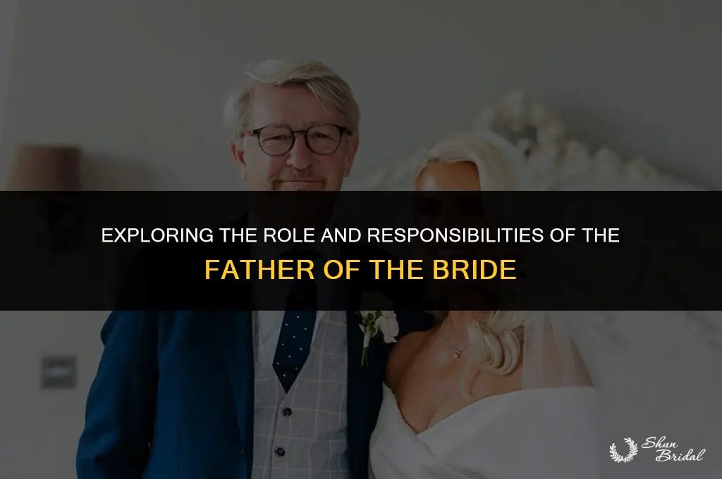 what is father of the bride on