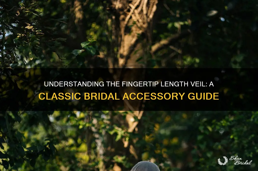 what is fingertip length veil