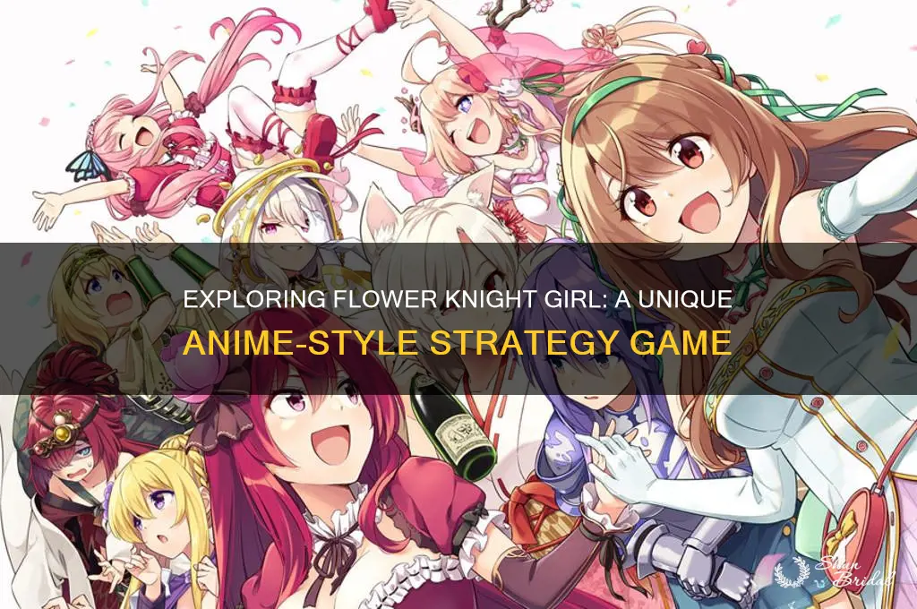 what is flower knight girl